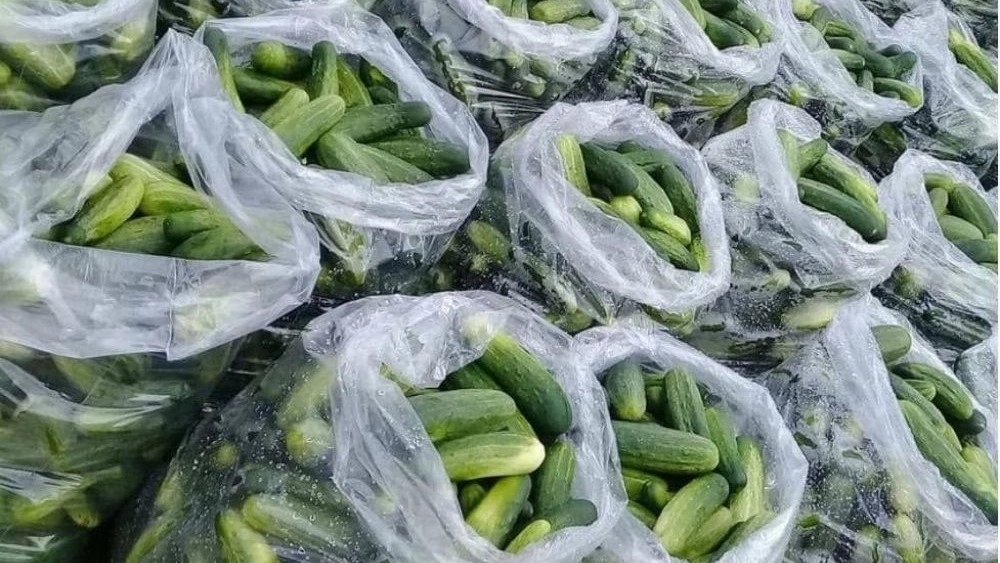 نایلون شیرینگ نایلون شیرینگ